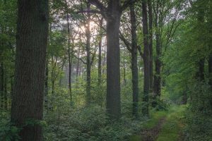 Fort van Ertbrand & Ertbrandbos