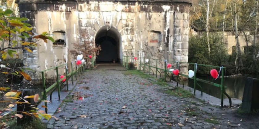 Vleermuizen in het Fort van Ertbrand