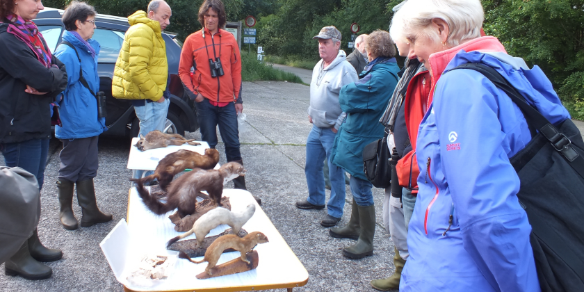 Cursus zoogdieren