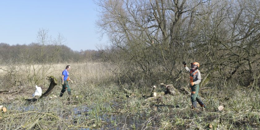 Terug meer open water op de Oude Landen