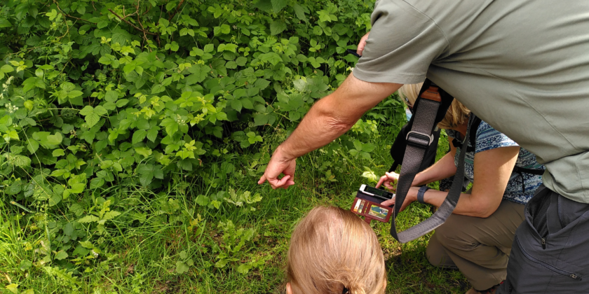 Wandeling door de Oude Landen, Infomarkt en leden-BBQ